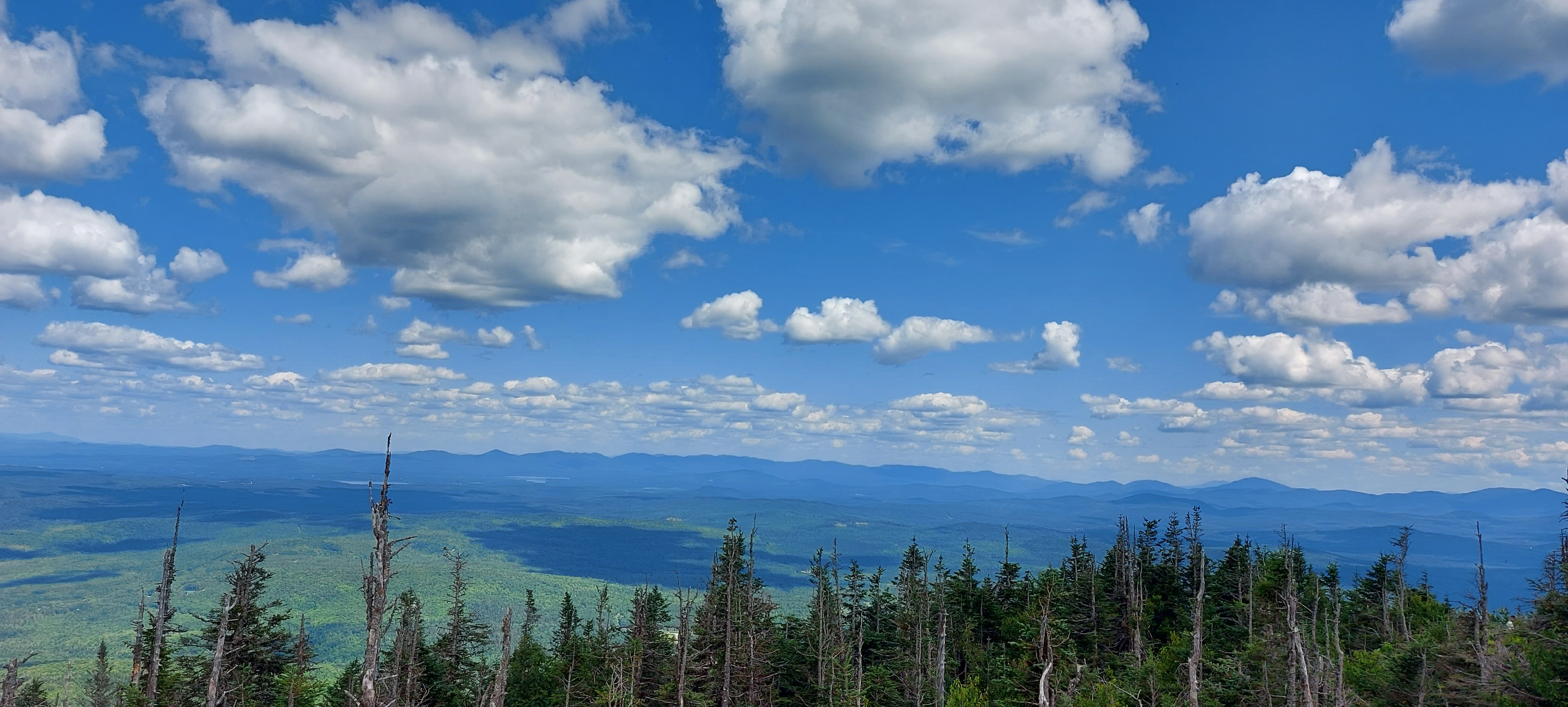 Les catégories bleues propre à Conscience Bleue