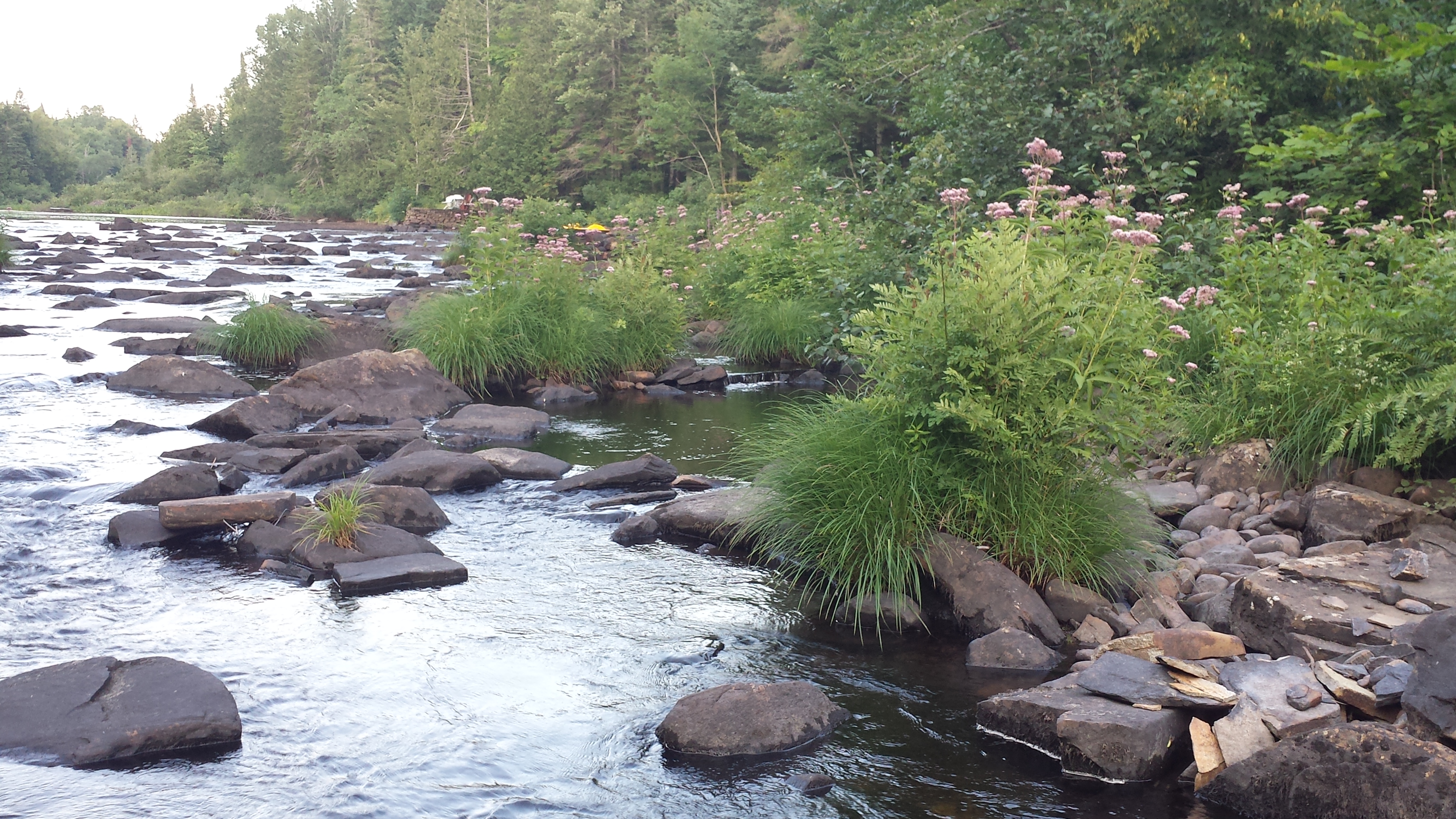 Les catégories vertes propre à Conscience Bleue