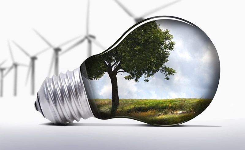 Ecosystème Conscience Bleue